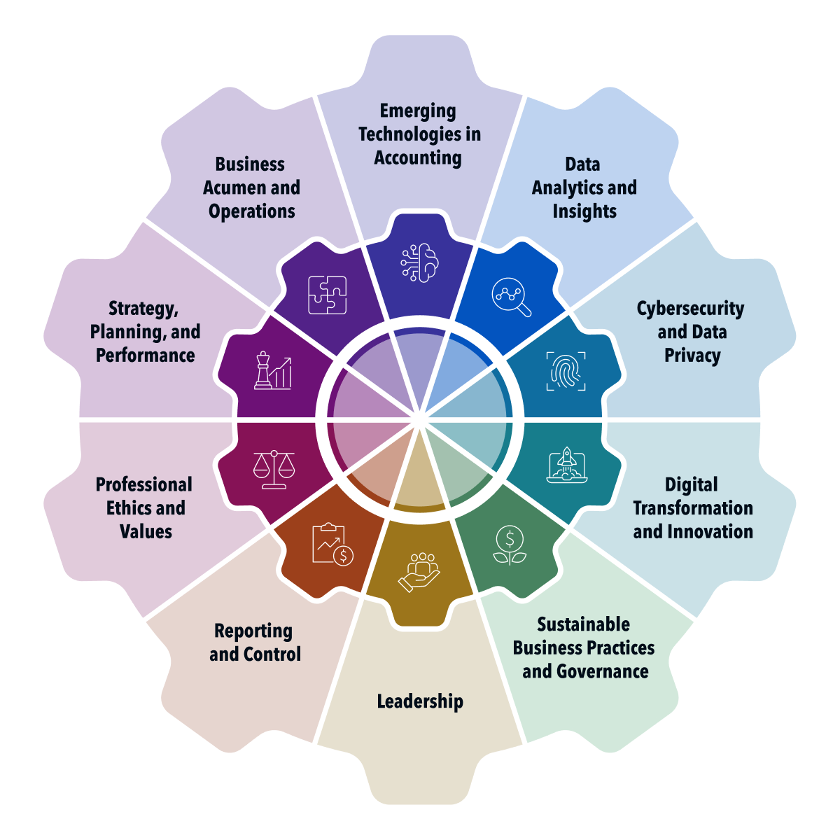 IMA Competency Framework