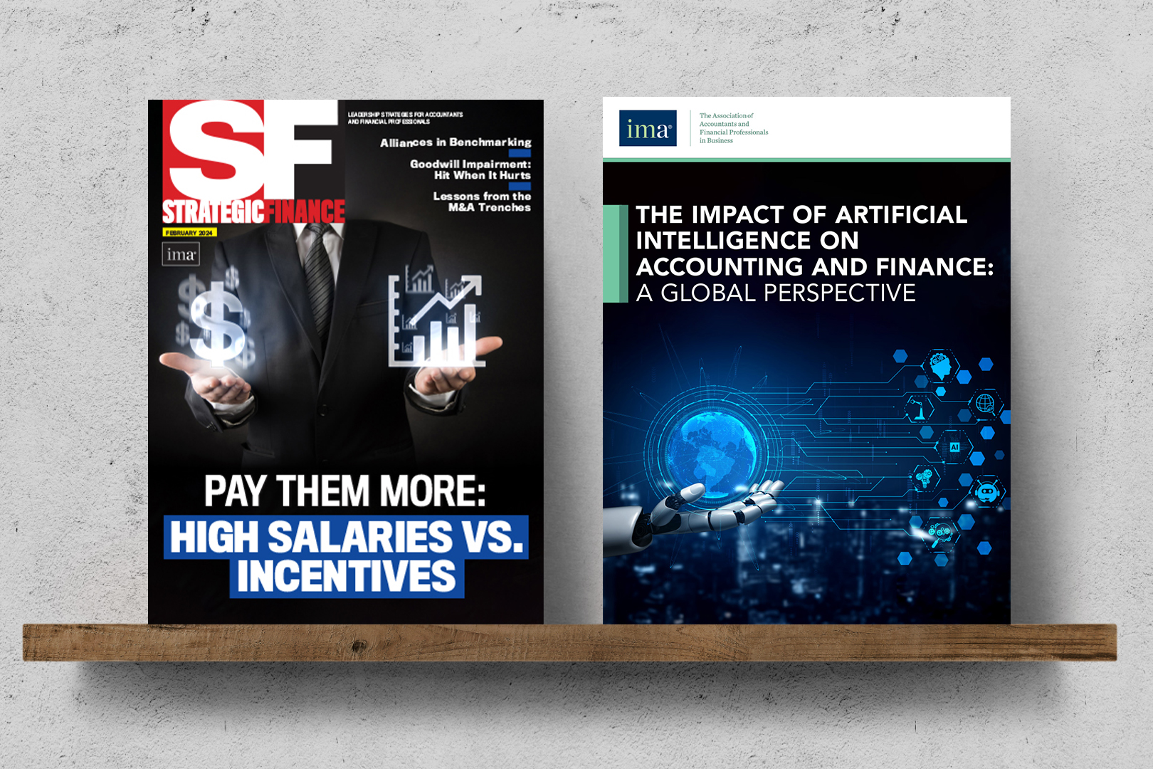 IMA Finance and Accounting Publications